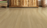 Beige Circuit Grand Floors 2