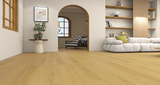 Clam Shell Oak Laminate GF