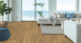 Ocean Bluff Oak