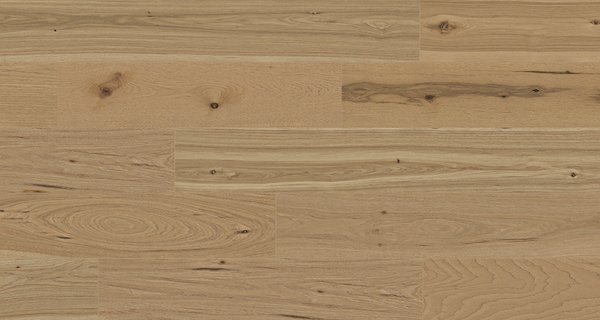 Titan Hickory